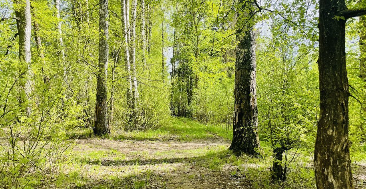 земля городской округ Истра 9765 км, коттеджный пос. Остров Истра, Истра, Пятницкое шоссе фото 6