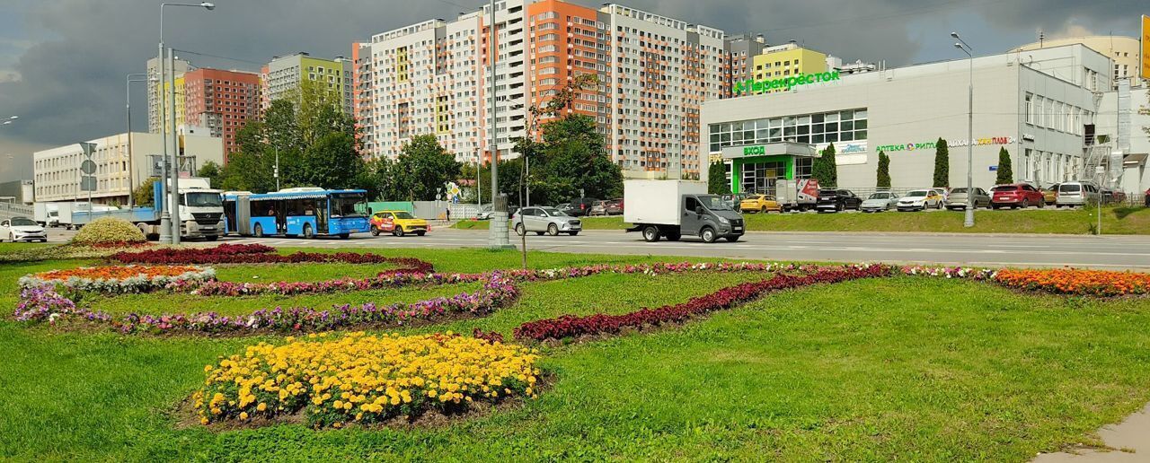 комната г Москва метро Царицыно ул Элеваторная 4 муниципальный округ Бирюлёво Восточное фото 19