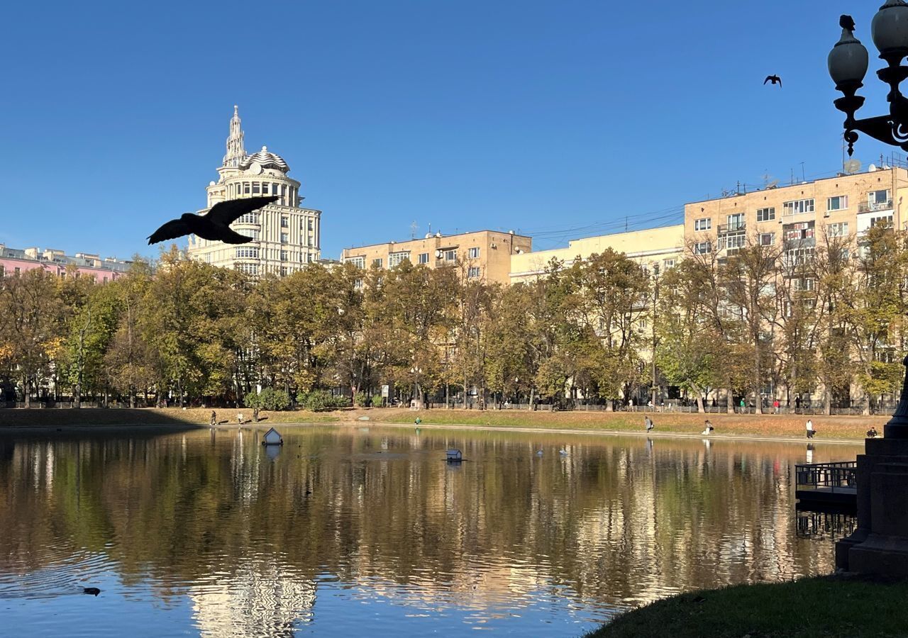 квартира г Москва метро Баррикадная ул Спиридоновка 24/1 муниципальный округ Пресненский фото 18