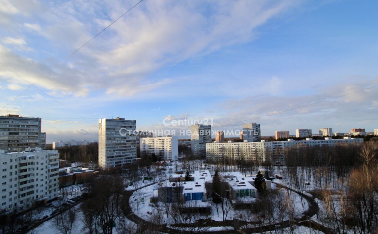 квартира г Москва ТиНАО Троицк ул Центральная 18 р-н Троицк, Московская область, городской округ Истра, Троицк фото 10