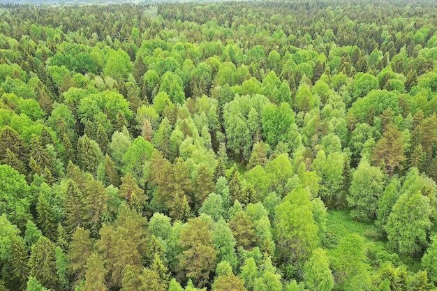 земля городской округ Можайский д Дегтяри Волоколамское шоссе фото 4