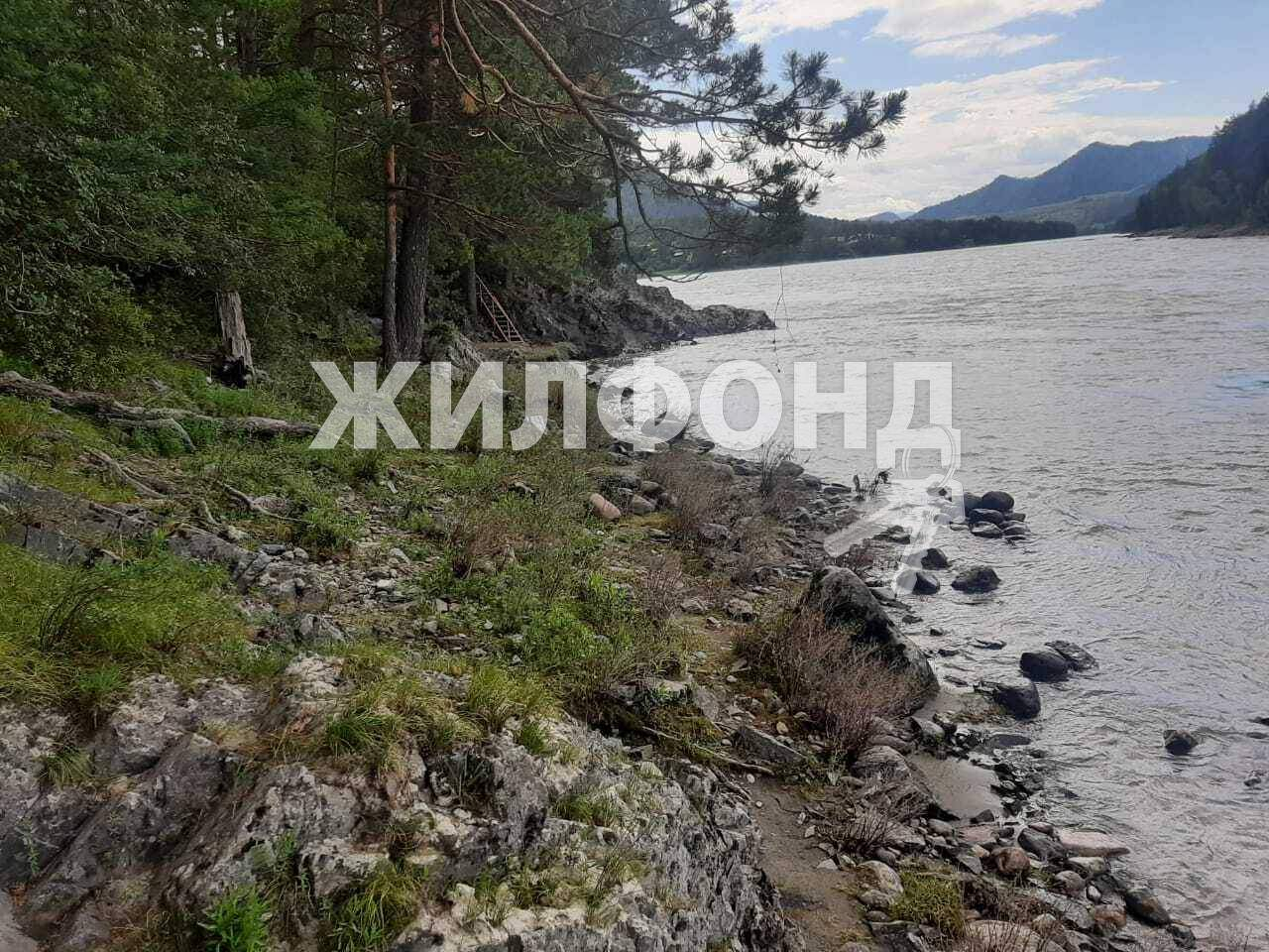 земля р-н Чемальский с Узнезя ул Центральная фото 16