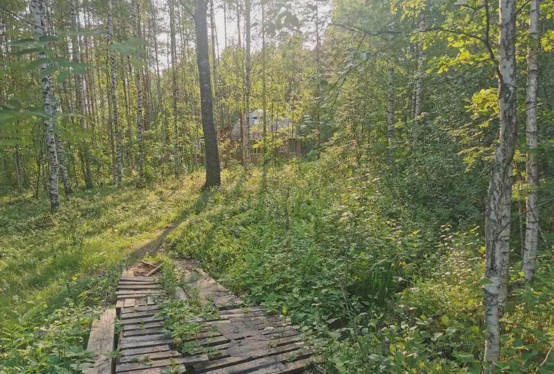 земля р-н Лужский п Толмачево ул Загородная 19 Киевское шоссе, 105 км, Толмачёвское городское поселение, городской пос. Толмачёво фото 3