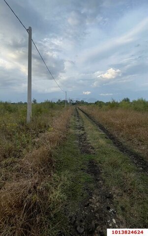 ДНТ Октябрьское фото