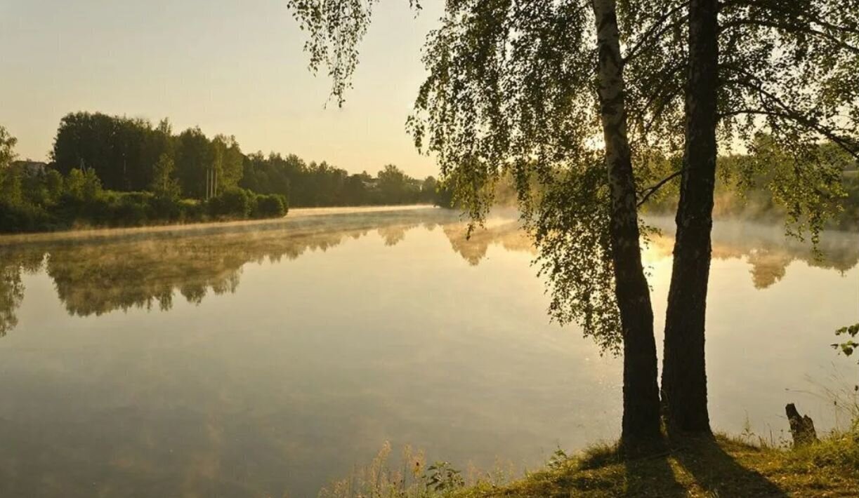 земля городской округ Серпухов 9794 км, ДНП Ящерицын Посад, Симферопольское шоссе фото 7