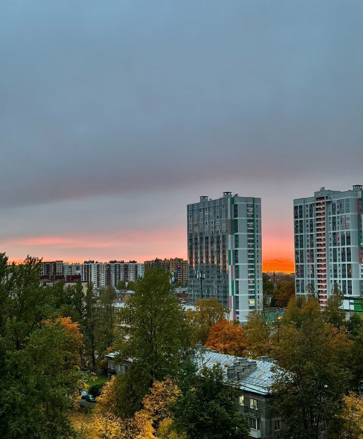 квартира г Санкт-Петербург метро Площадь Мужества р-н Пискарёвка пр-кт Кондратьевский 68к/4 фото 5