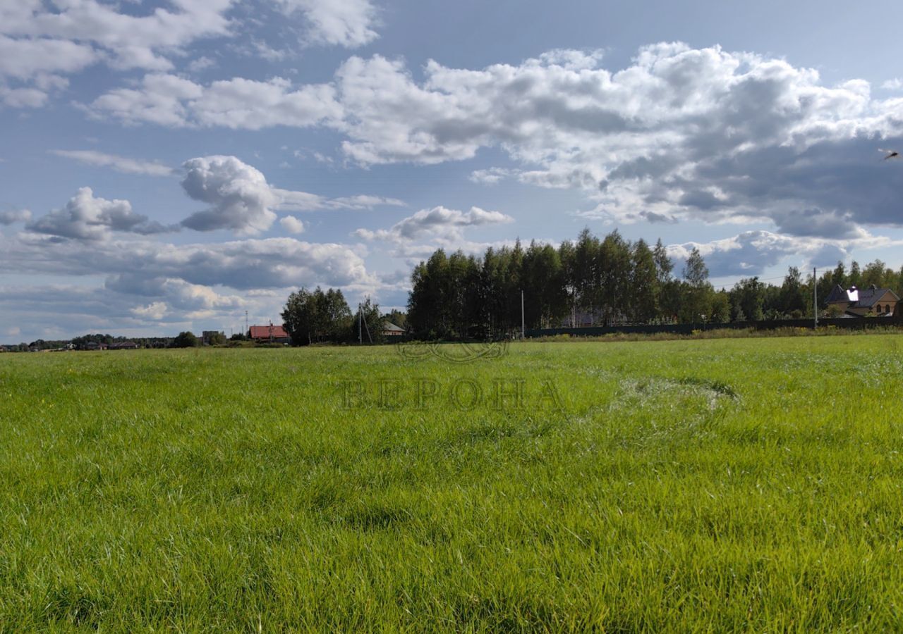 земля направление Горьковское (восток) ш Горьковское 9757 км, Богородский г. о, Ногинск фото 1