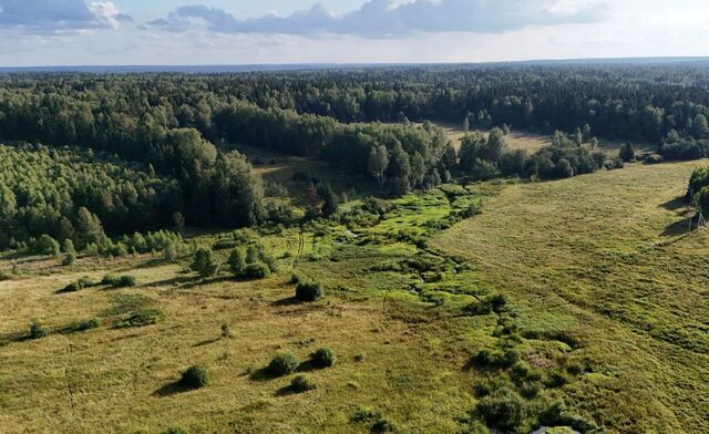 9759 км, дачные участки Грибное место, Рогачёвское шоссе фото