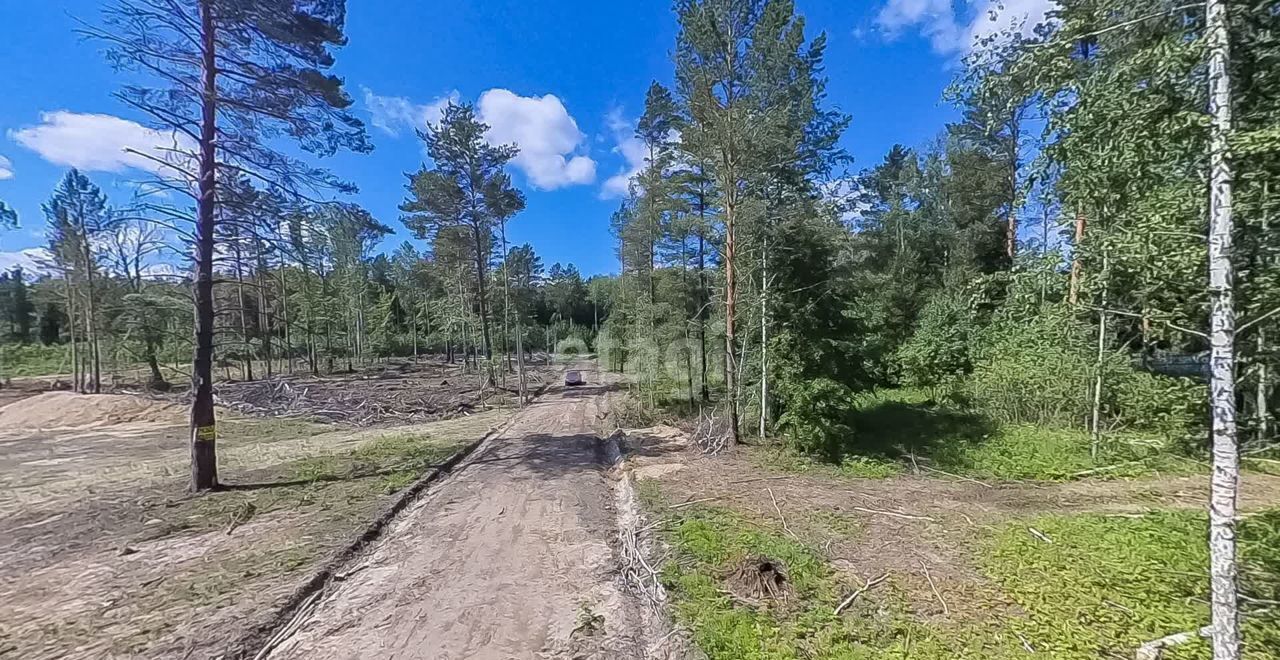 земля р-н Нижнетавдинский с Тюнево ул Радужная Тюмень фото 9