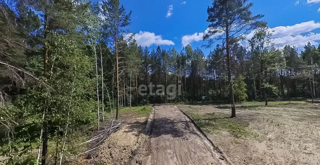 земля р-н Нижнетавдинский с Тюнево ул Радужная Тюмень фото 11