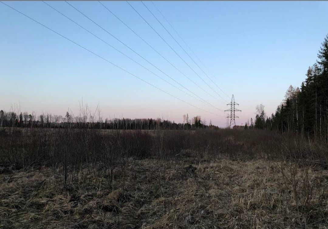 земля городской округ Коломенский д Андреевка 67 км, 19, Воскресенск, г. о. Коломна, Новорязанское шоссе фото 3