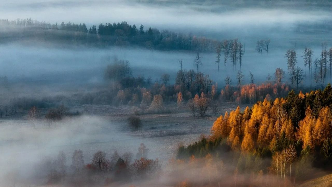 земля р-н Заокский д Конюшино Страховское, муниципальное образование фото 6