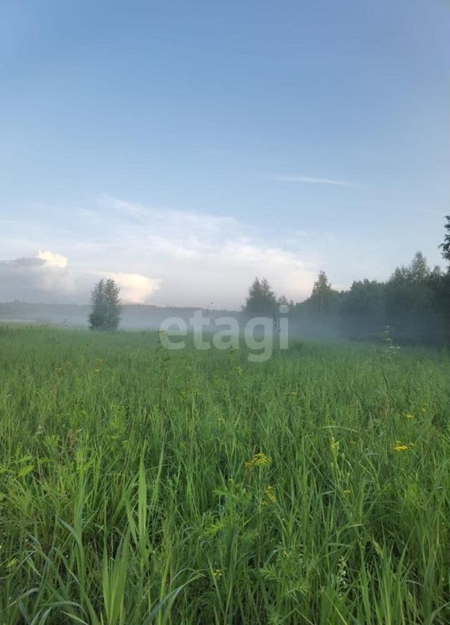 земля г Полевской коттеджный пос. Александровские дачи, Екатеринбург фото 3