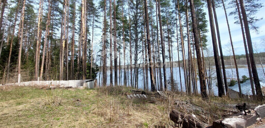 земля р-н Выборгский п Михалево Каменногорское городское поселение фото 2