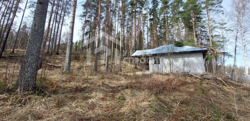 земля р-н Выборгский п Михалево Каменногорское городское поселение фото 8