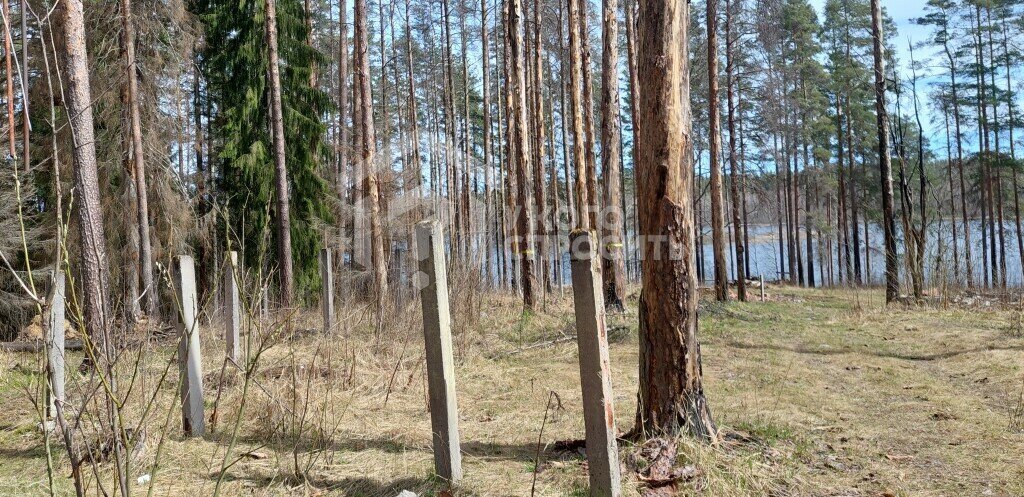 земля р-н Выборгский п Михалево Каменногорское городское поселение фото 11