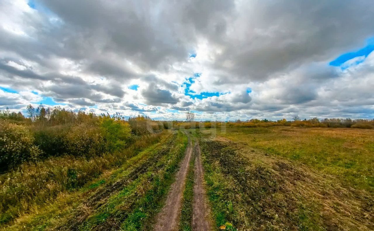 земля р-н Тюменский с Борки Каскара фото 1