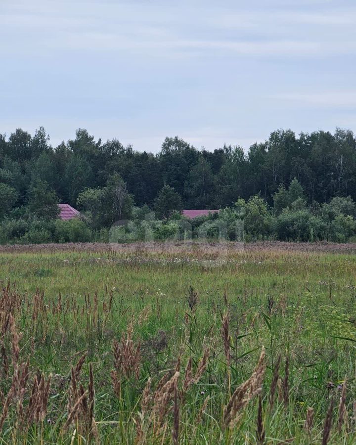 земля р-н Нижнетавдинский с Средние Тарманы Тюмень фото 9