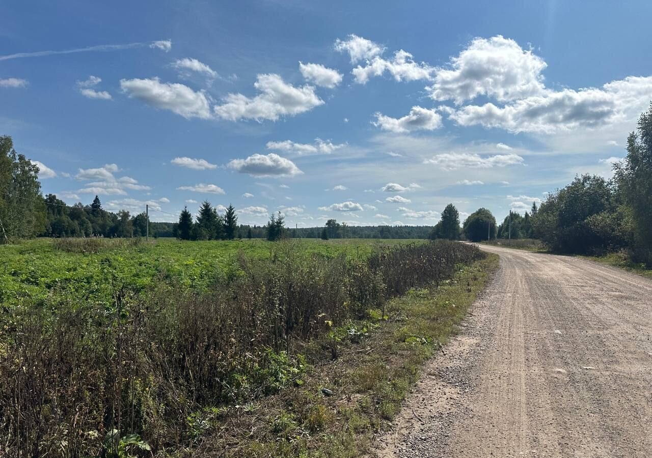 земля городской округ Клин д Алексейково 59 км, Новопетровское, Волоколамское шоссе фото 15