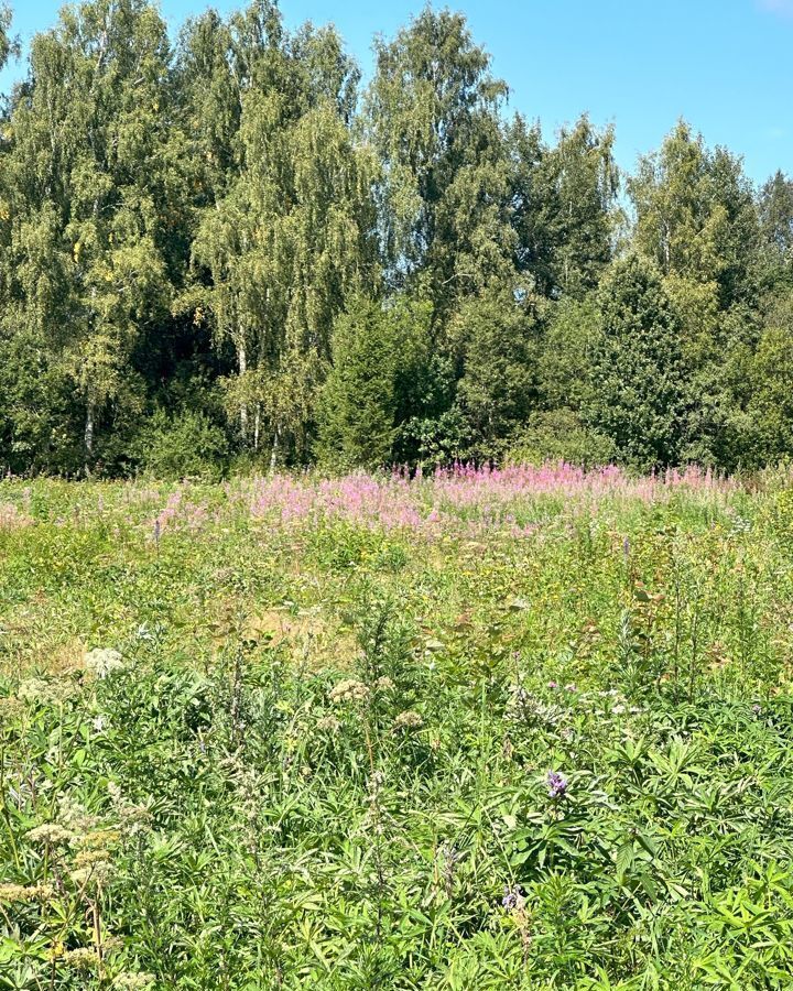 земля городской округ Клин д Алексейково 59 км, Новопетровское, Волоколамское шоссе фото 38