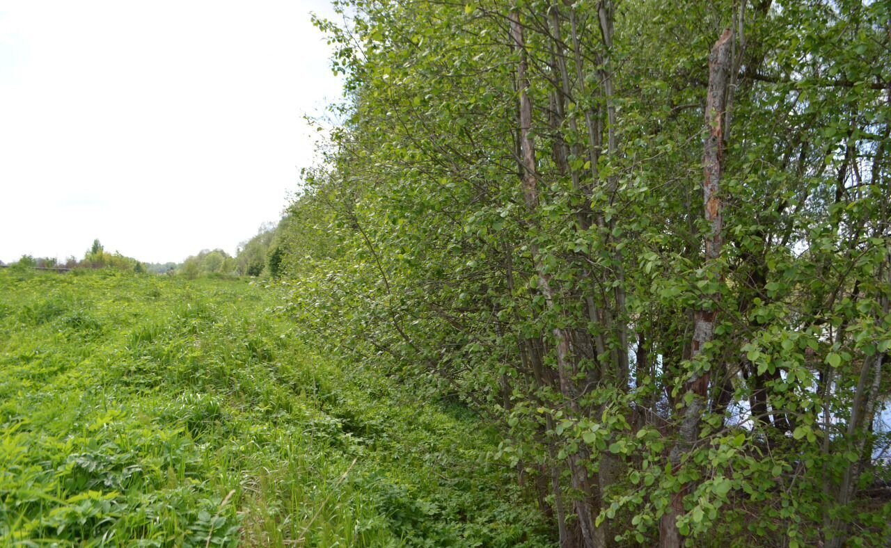 земля р-н Новгородский Великий Новгород фото 8