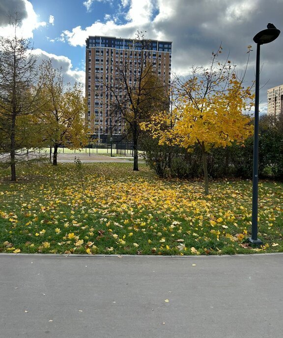 квартира г Москва метро Люблино ул Белореченская 5 муниципальный округ Люблино фото 10