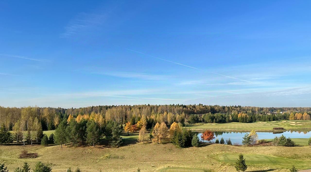 квартира городской округ Мытищи п Николо-Прозорово ул Никольская 1с/1 Хлебниково фото 34