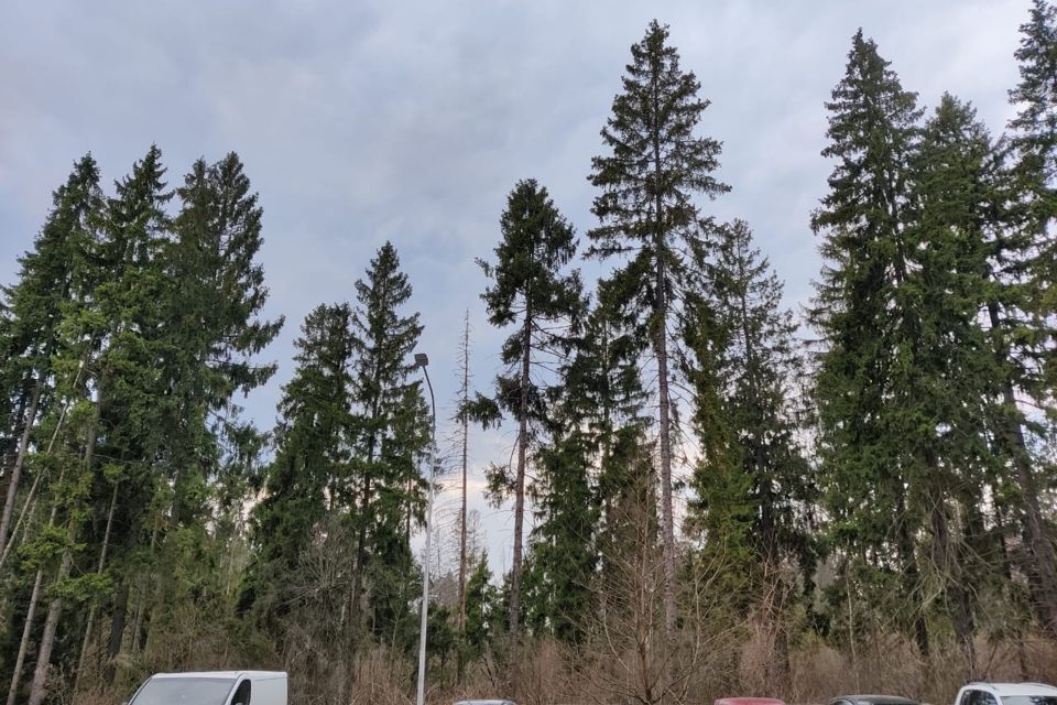 квартира городской округ Солнечногорск д Елино ЖК «Ёлкино» Химки городской округ, деревня Елино, к 21 фото 6