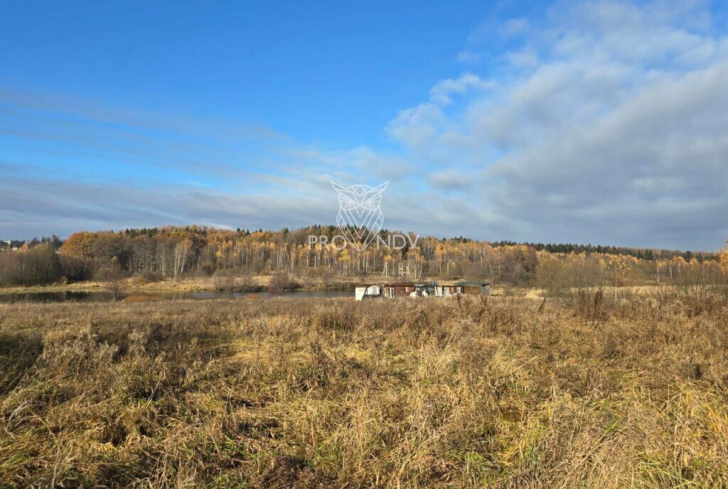 земля городской округ Пушкинский д Митрополье фото 1