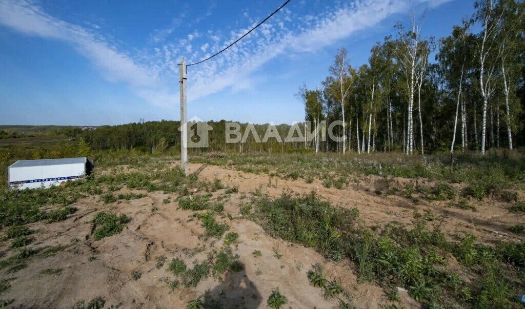 дом р-н Богородский с Ефимьево ул Лесная Комсомольская фото 4