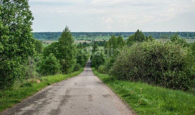 земля д Княжее Село-2 Любытинское сельское поселение фото