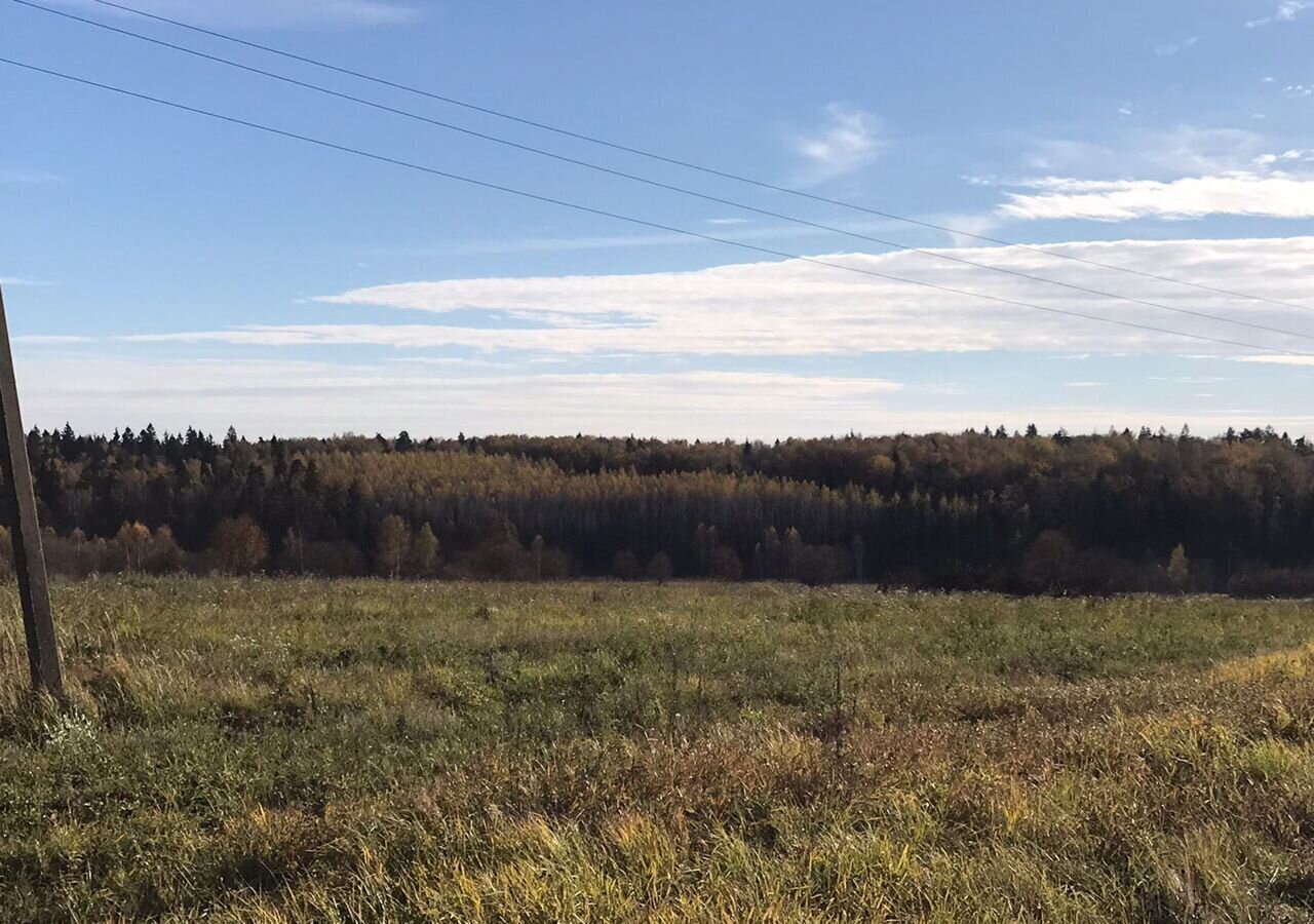 земля городской округ Щёлково с Петровское 38 км, Красноармейск, Фряновское шоссе фото 8