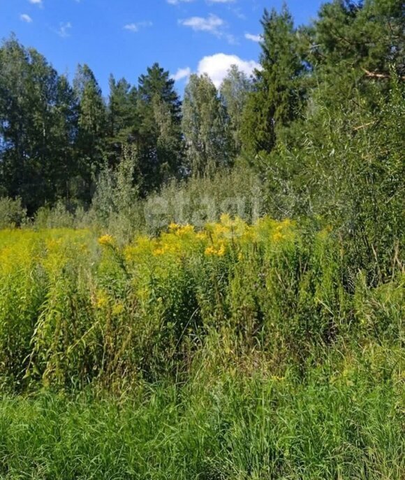 земля р-н Медведевский снт Лесное Куярское сельское поселение фото 1