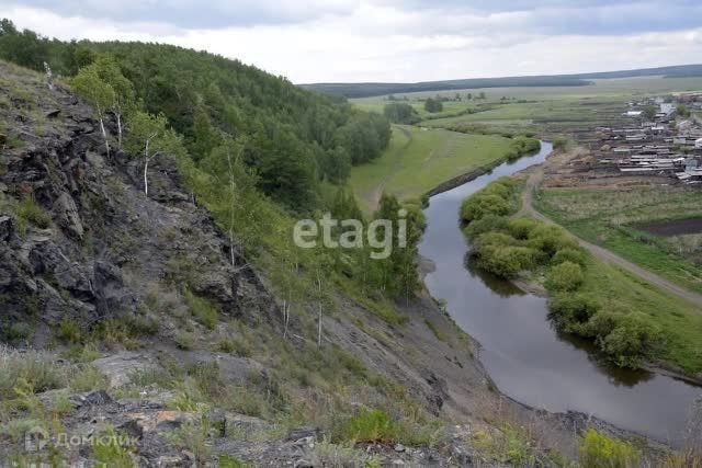 земля р-н Уйский село Нижнеусцелемово фото 5