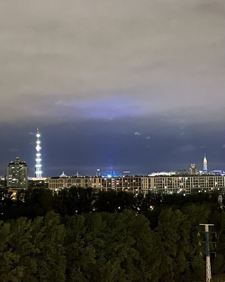 квартира г Санкт-Петербург метро Лесная р-н Пискарёвка пр-кт Маршала Блюхера 8к/1 фото 12