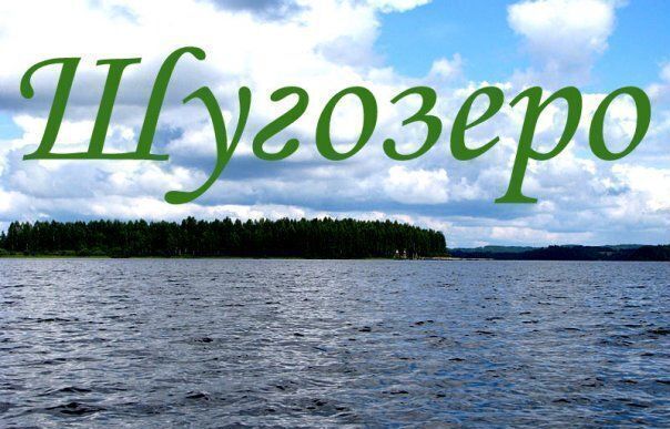 квартира р-н Тихвинский п Шугозеро ул Школьная 13 Шугозерское сельское поселение, Пикалево фото 4