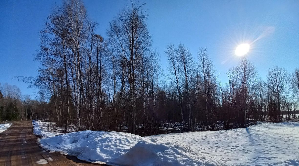 земля р-н Валдайский д Большое Городно Ивантеевское с/пос фото 22