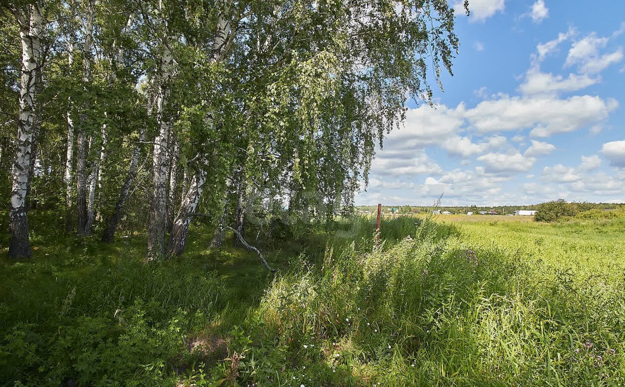 земля р-н Тугулымский с Мальцево Тюменская область, Успенка фото 11