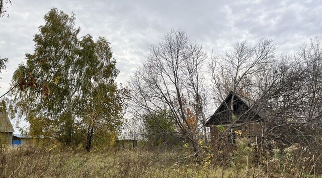 сельсовет, ул. Садовая, 96, Золотухинский район, Будановский фото