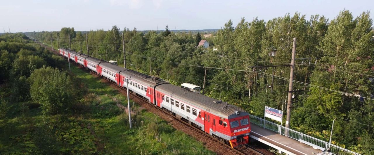 земля г Павловск метро Купчино ул Берёзовая фото 7