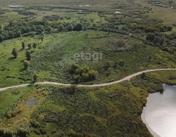 земля р-н Первомайский с Фирсово Санниковский сельсовет фото 3