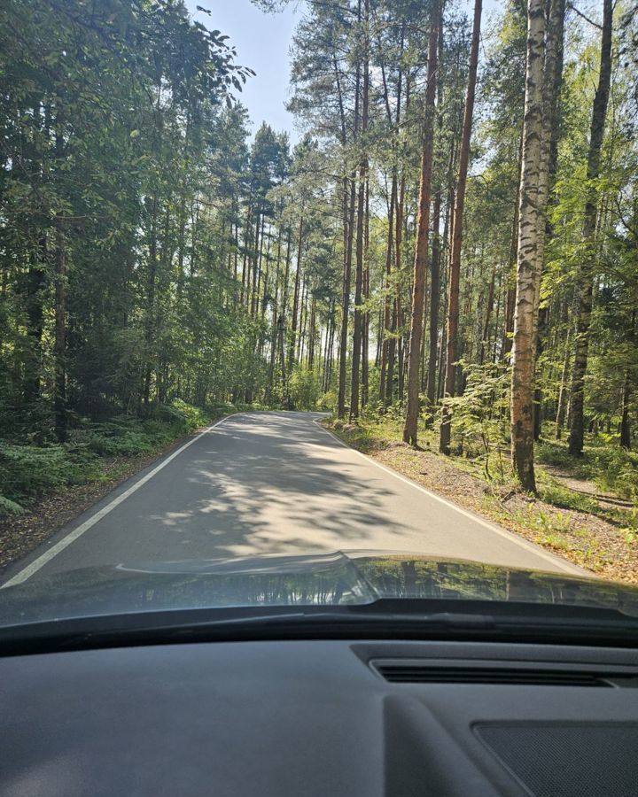 земля городской округ Талдомский снт тер.Чайка 9814 км, Дубна, Дмитровское шоссе фото 16