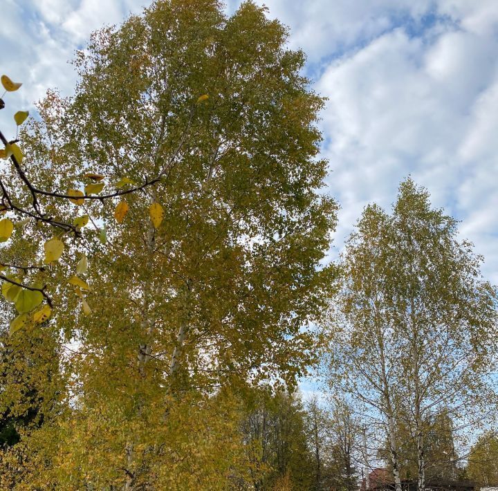 земля городской округ Раменский КП Ясная Поляна ТСН, 28 фото 25