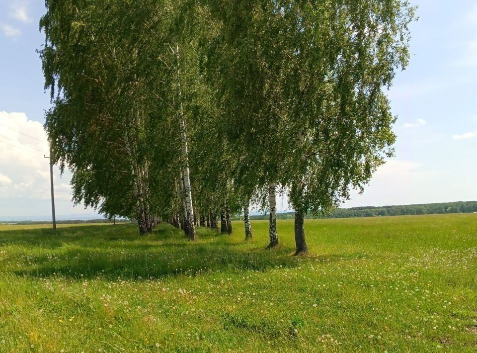 дом р-н Кармаскалинский д Дмитриевка Ефремкинский сельсовет фото 3