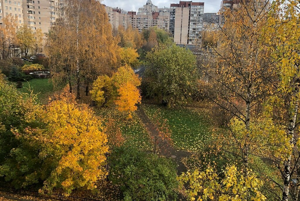 квартира г Санкт-Петербург метро Пионерская ул Аэродромная 11к/3 округ Комендантский аэродром фото 3