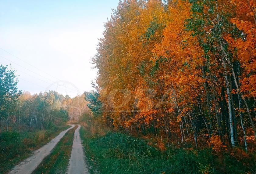 земля р-н Тюменский д Якуши ул. Александра Матросова, Каскара фото 3