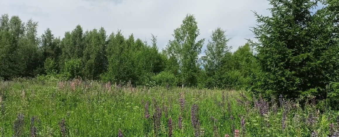 офис городской округ Дмитровский д Сокольники фото 1