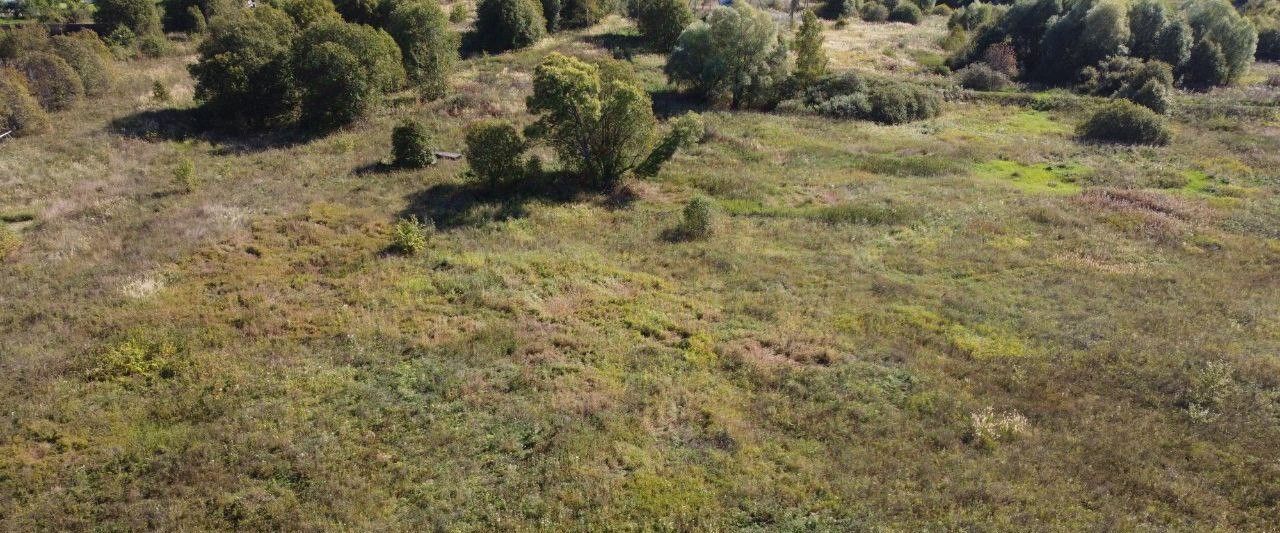 офис городской округ Волоколамский д Чернево фото 2