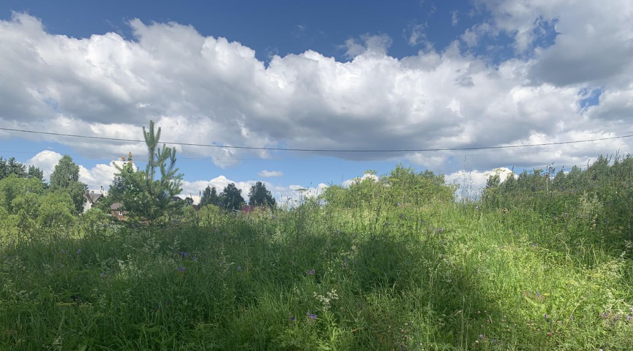 офис городской округ Пушкинский д Никольское фото 3