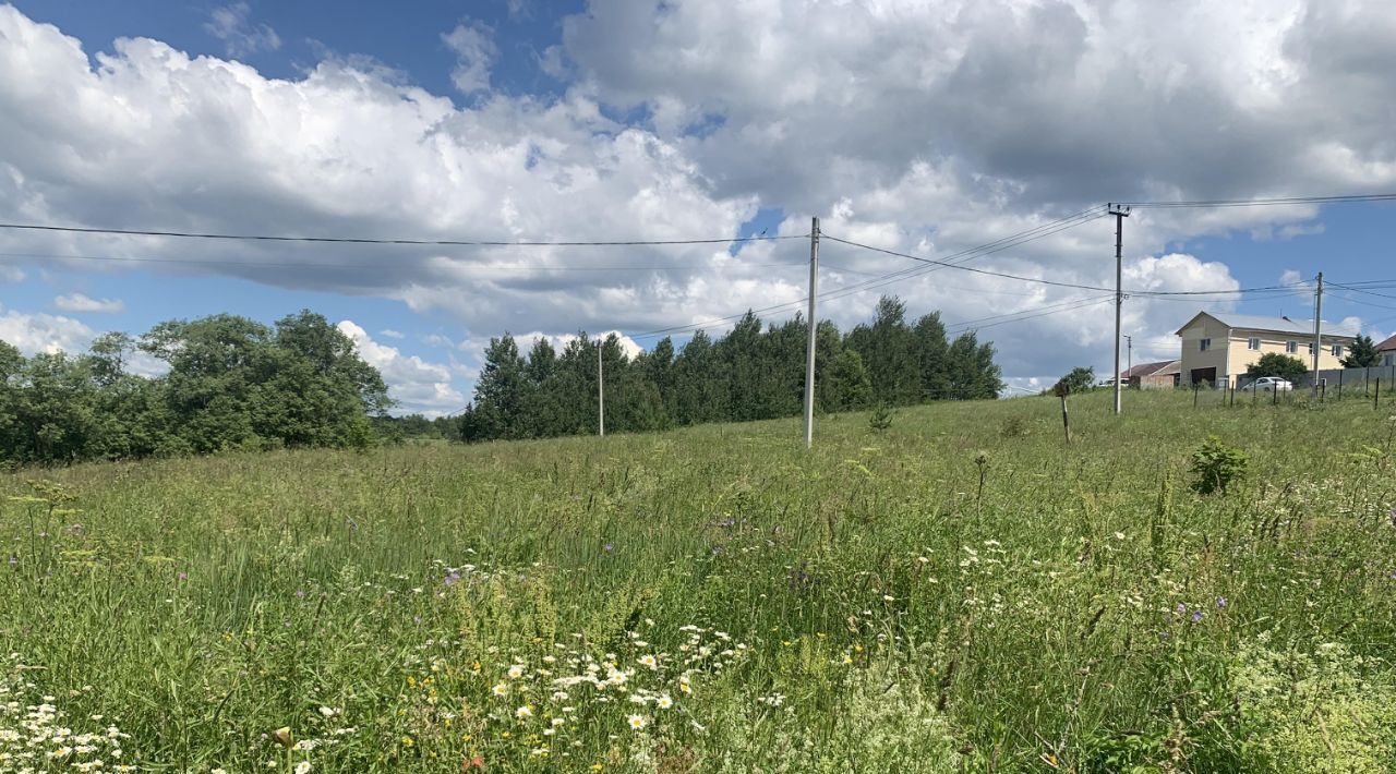 офис городской округ Пушкинский д Никольское фото 2